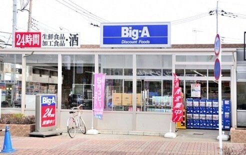 ���ӊ� �r�b�O�E�G�[/�c������X �k��3���B 210m